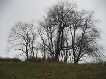 Stalter Cemetery