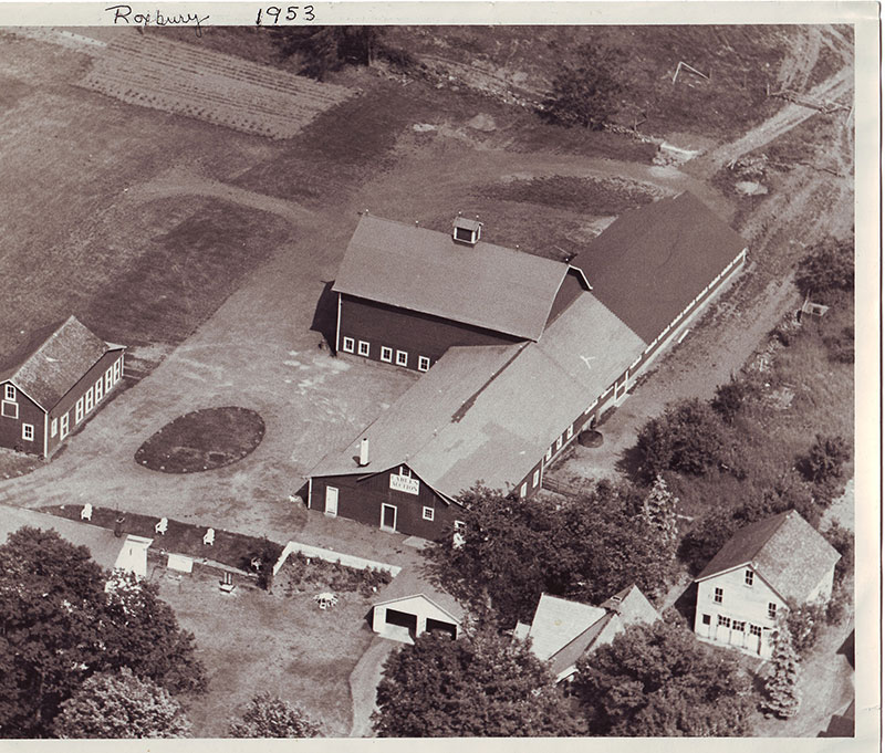 Cable's Cattle Market