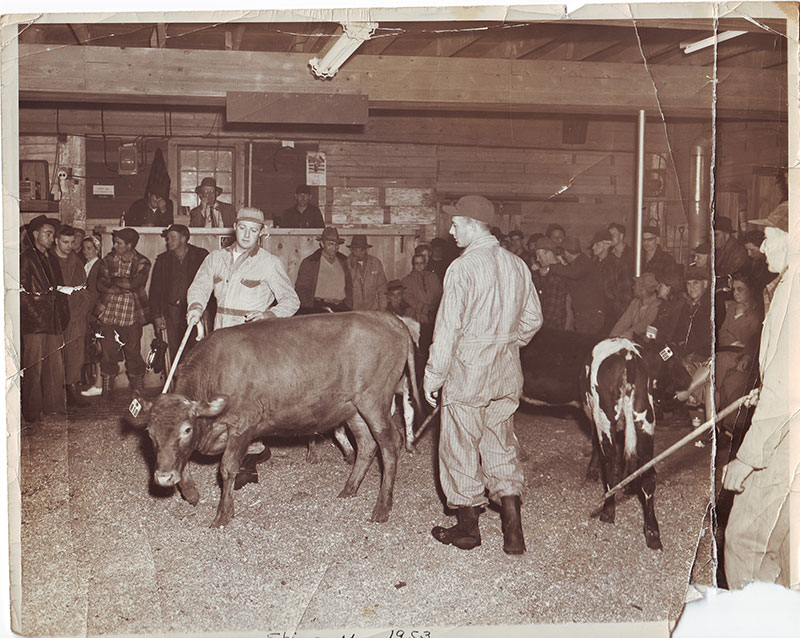 Sales area in main barn