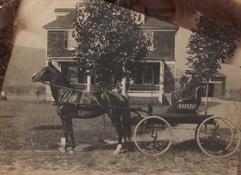 Edgar Couse with horse and buggy