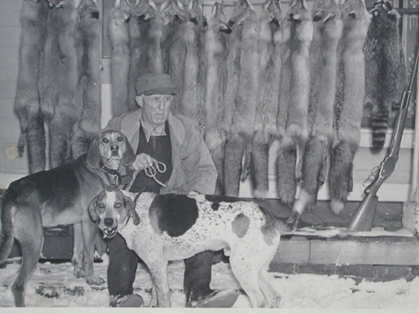 with dogs