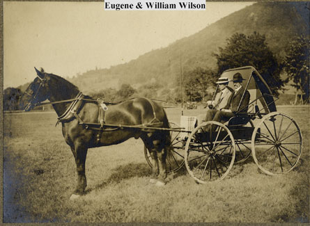 William H. Wilson and Eugene Chester Wilson in Buggy