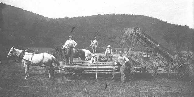 Loading the Hay Wagon