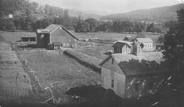 Golden Dawn Poultry Farm