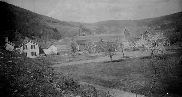 Golden Dawn Poultry Farm