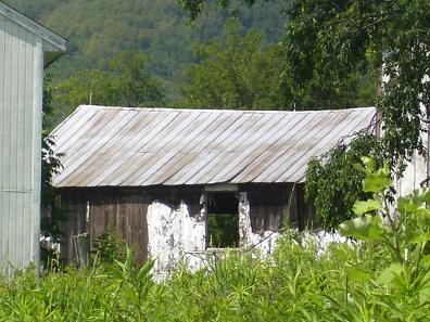 Shed