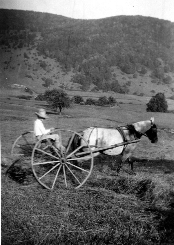 Raking Hay 1929
