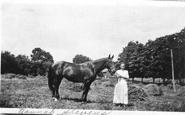 Hannah Braisland Stevens