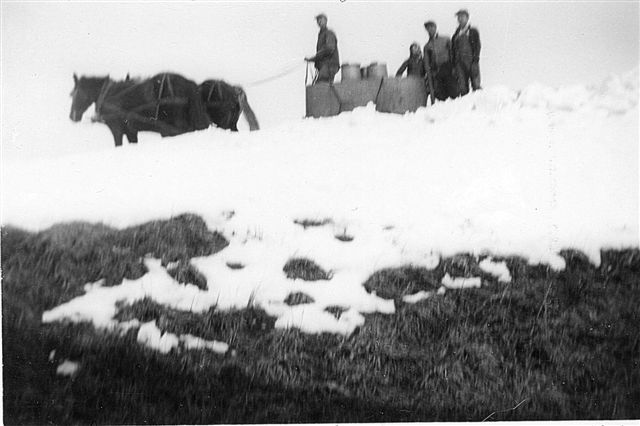 BRINGING SAP IN, EARLY 40s