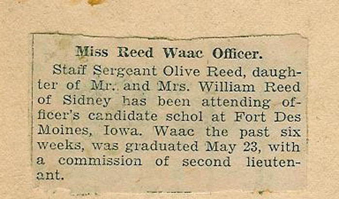 Reed_Olive_2