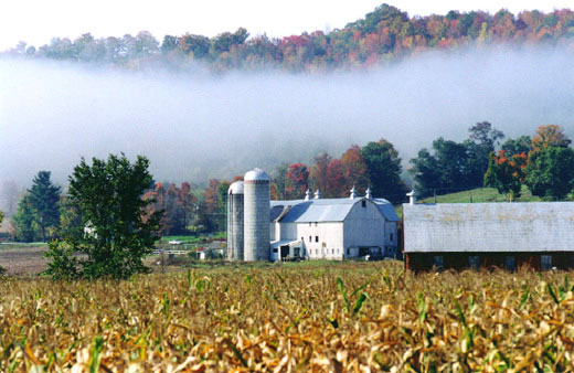 Farm on Rt. 10, North of So. Kortright