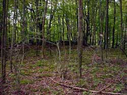 25 paces away from cemetery