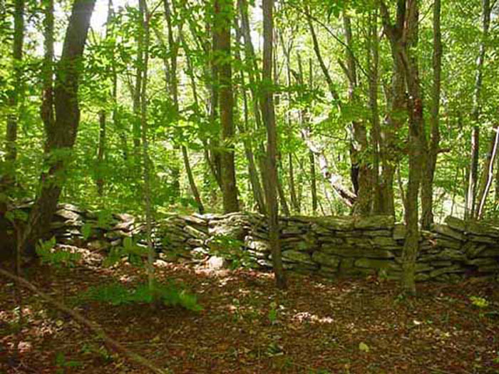Inside cemetery looking out